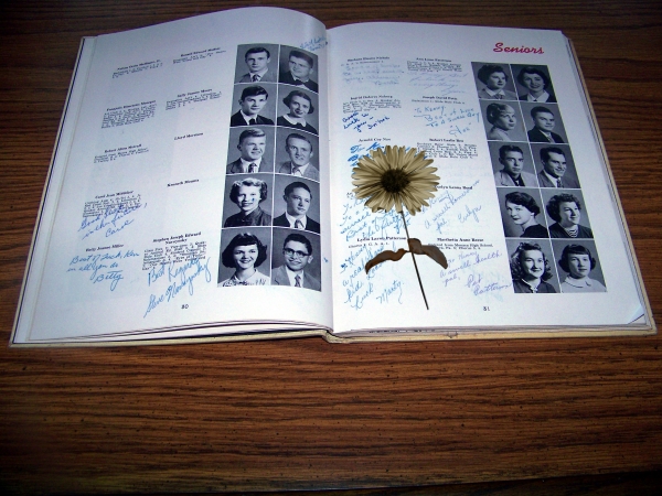 Creation of Pressed Memories: Step 3